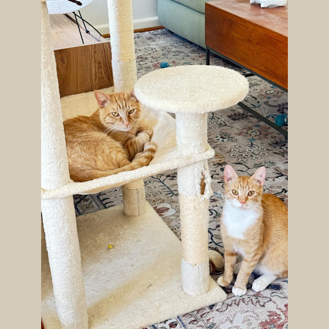 Photo of Saige & Charlie 