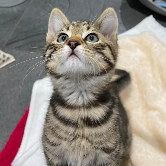 Photo of Fred