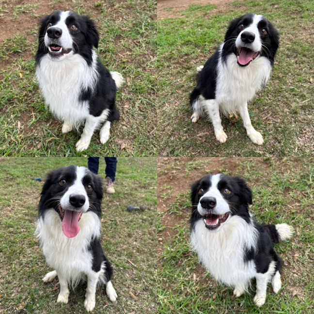 Photo of Phoenix