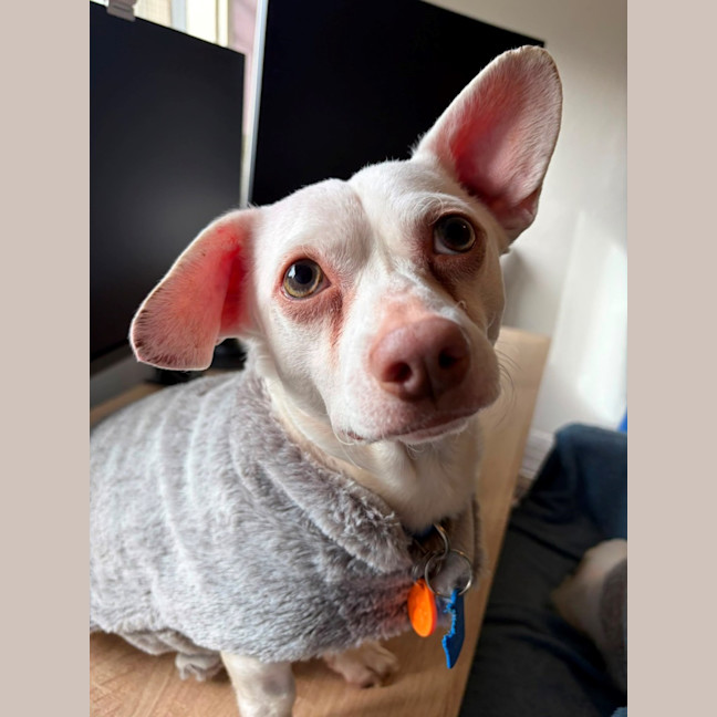 Photo of Brian