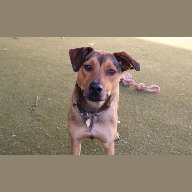 Photo of Ruby