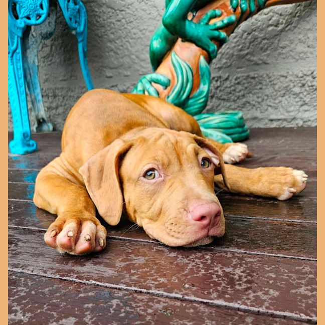 Photo of Clyde