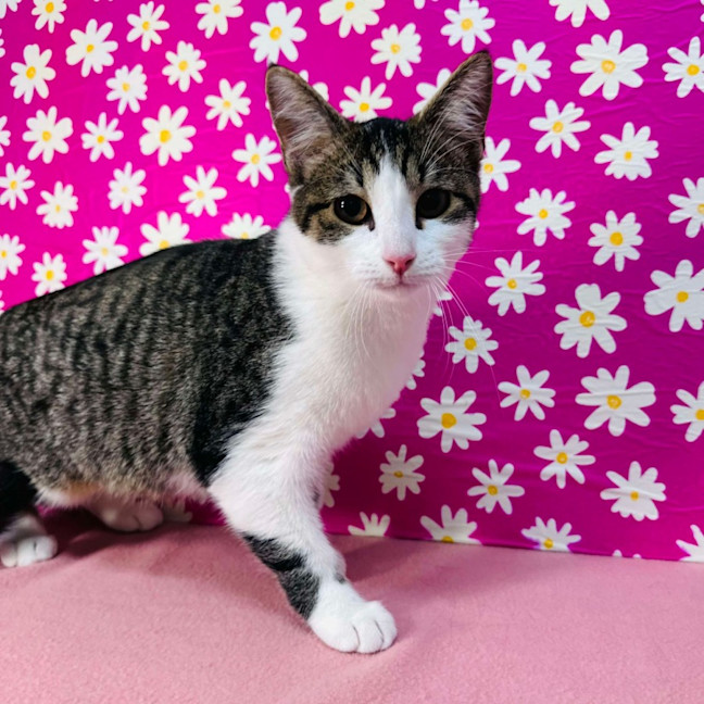 Photo of Jemma   Located In Brunswick East