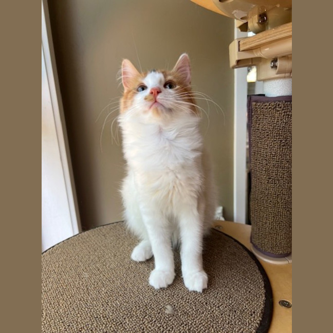 Photo of Malt And Caramello