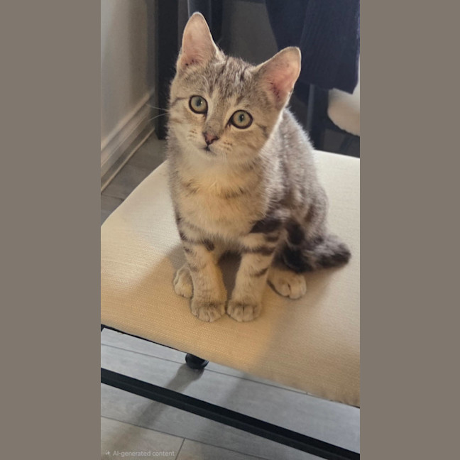 Photo of Blueberry