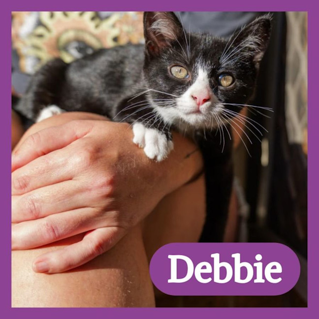 Photo of Debbie