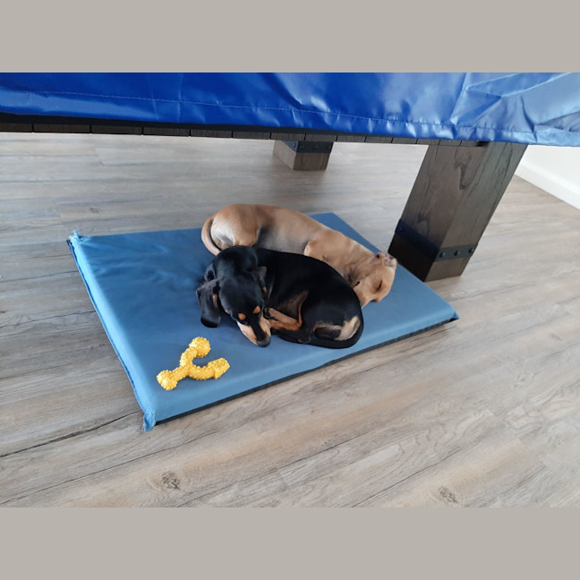 Photo of Bill And Ted