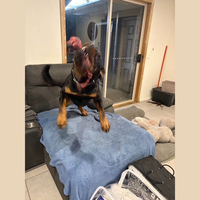 Photo of Duke
