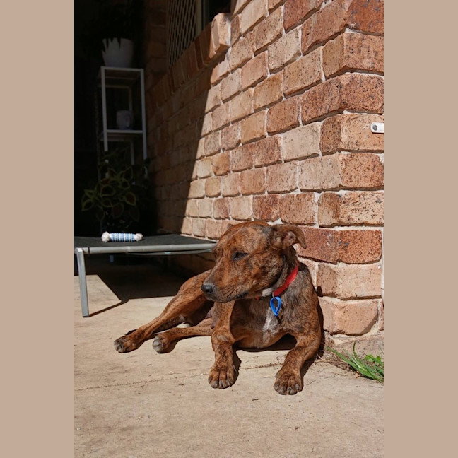 Photo of Marsha 