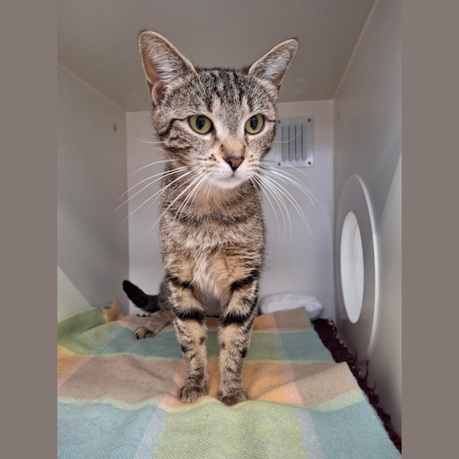 Photo of Miss Moneypenny