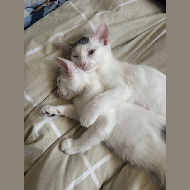 Photo of Bean And Biscuit