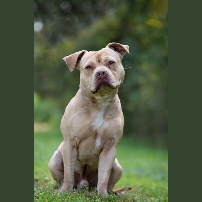 Photo of Gunner