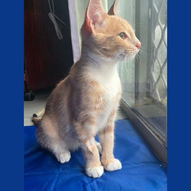 Photo of Henumi 💙