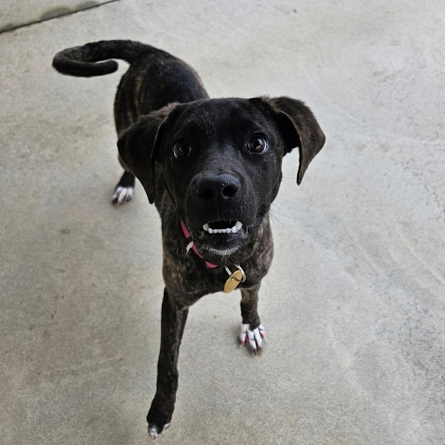 Photo of Xena