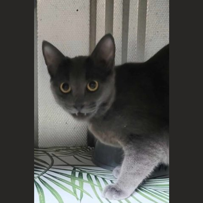 Photo of Yazzie