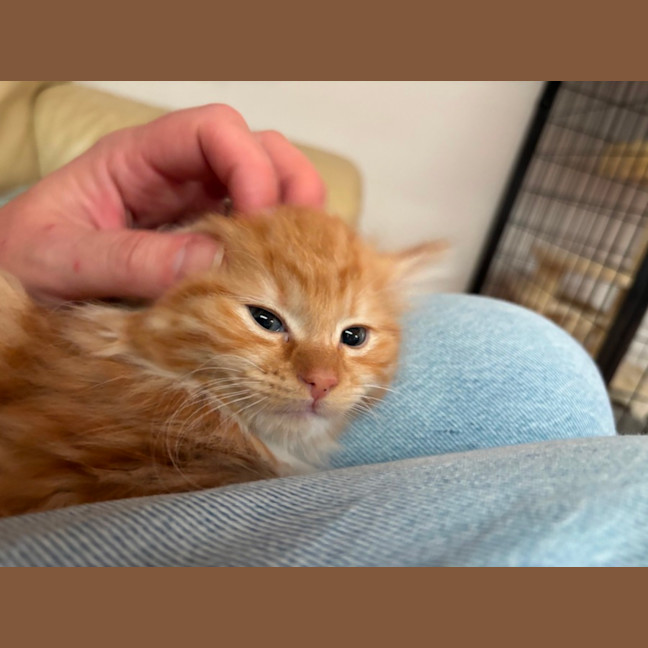Photo of 🕸️ Webby 🕸️