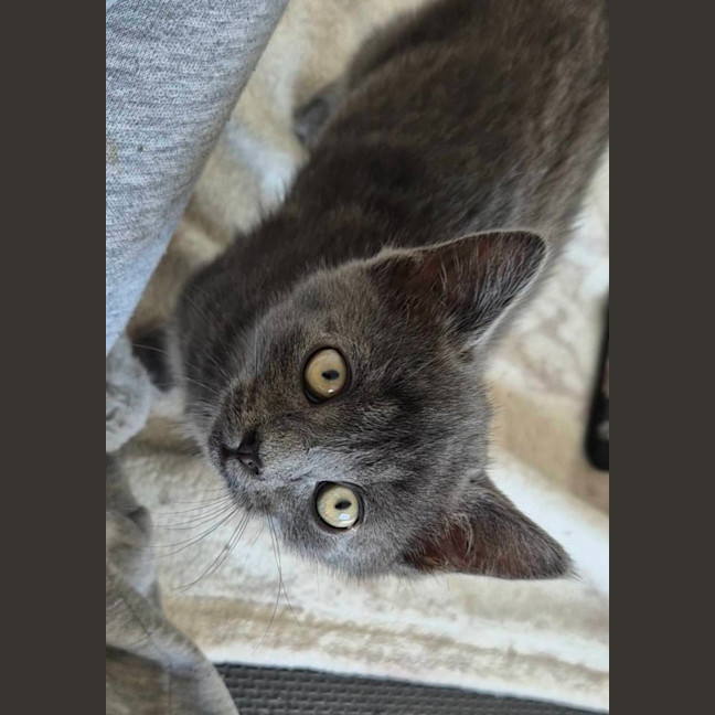 Photo of Pocket