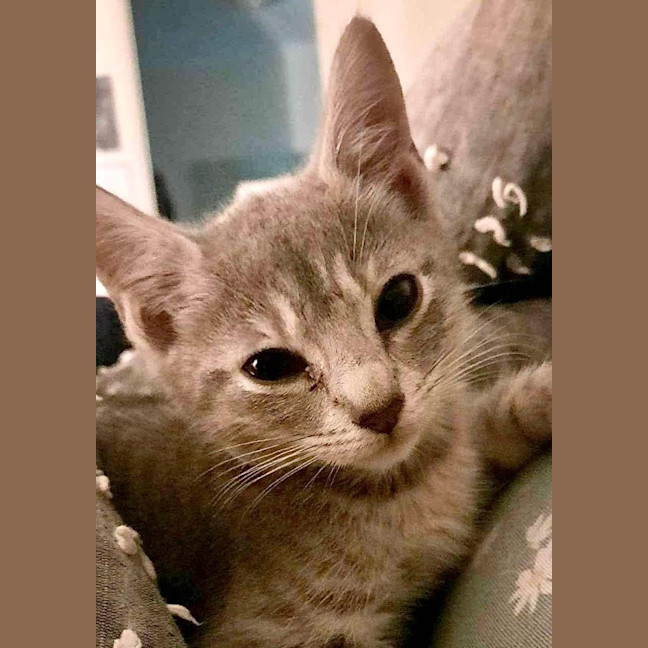 Photo of Eidie (K46)