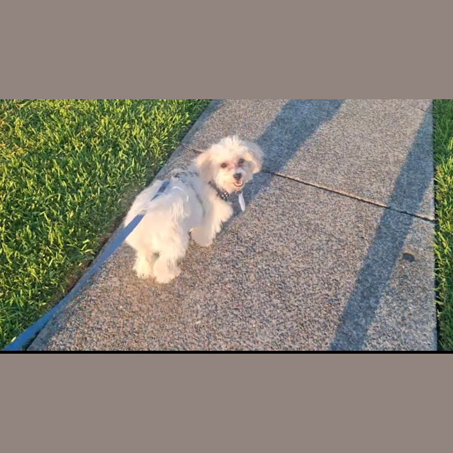 Photo of Connie Coconut 