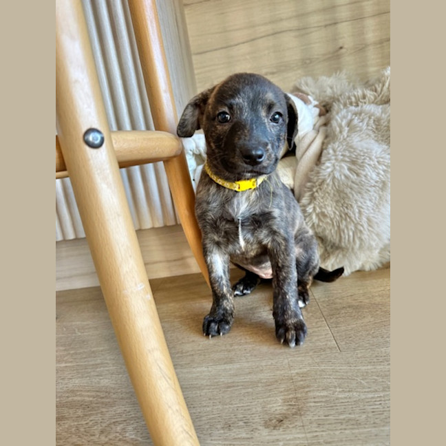 Photo of Clue