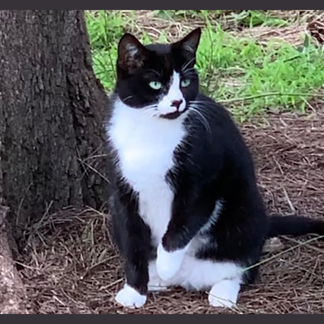 Photo of Mieka And Loki