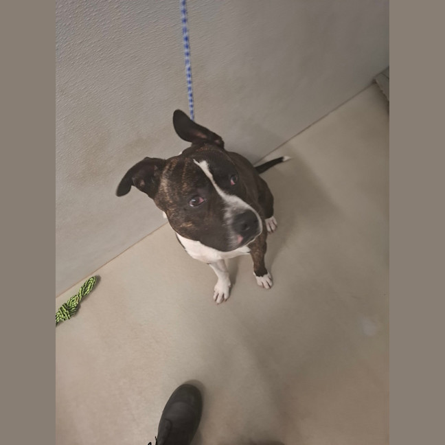 Photo of Ace Ventura 