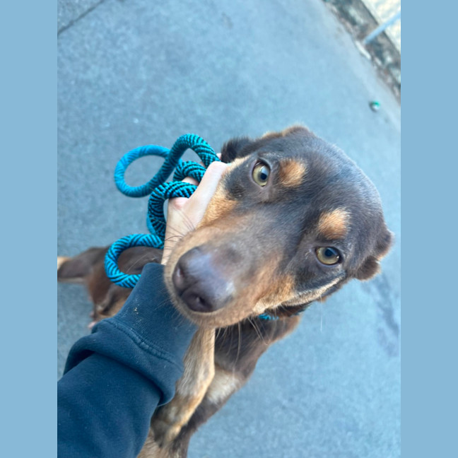 Photo of Cece