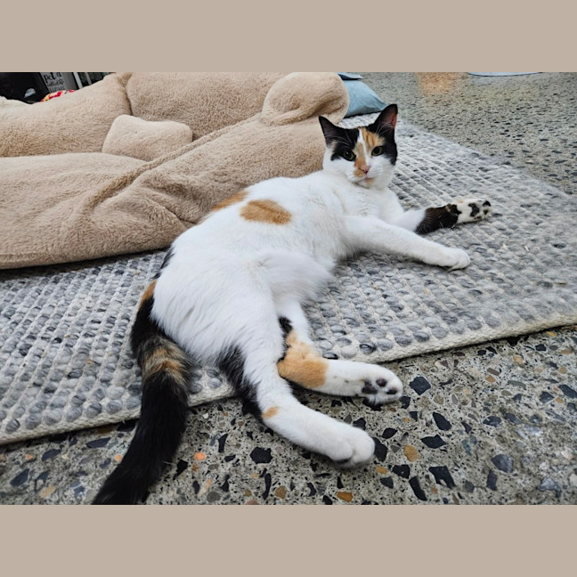 Photo of Mitzi