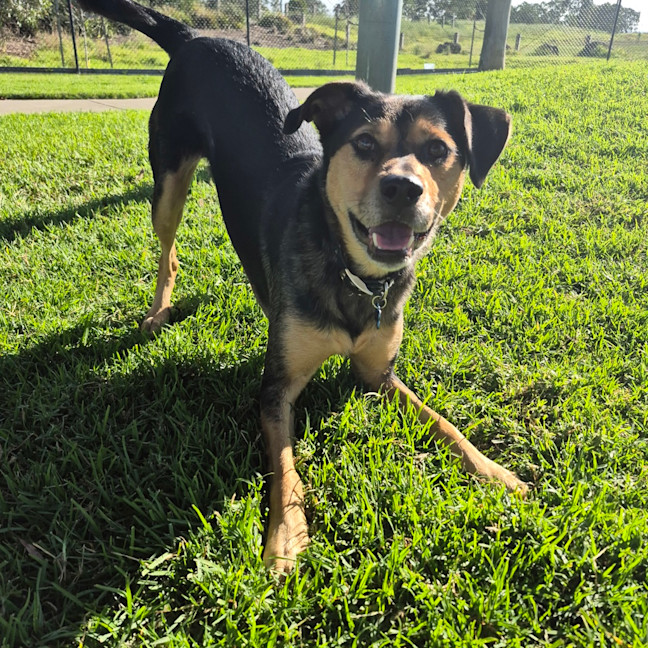 Photo of Ernie