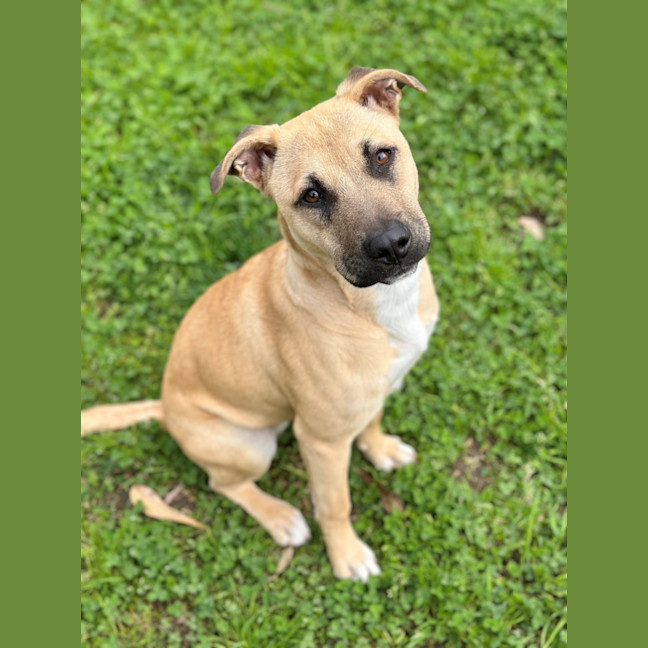 Photo of Willow