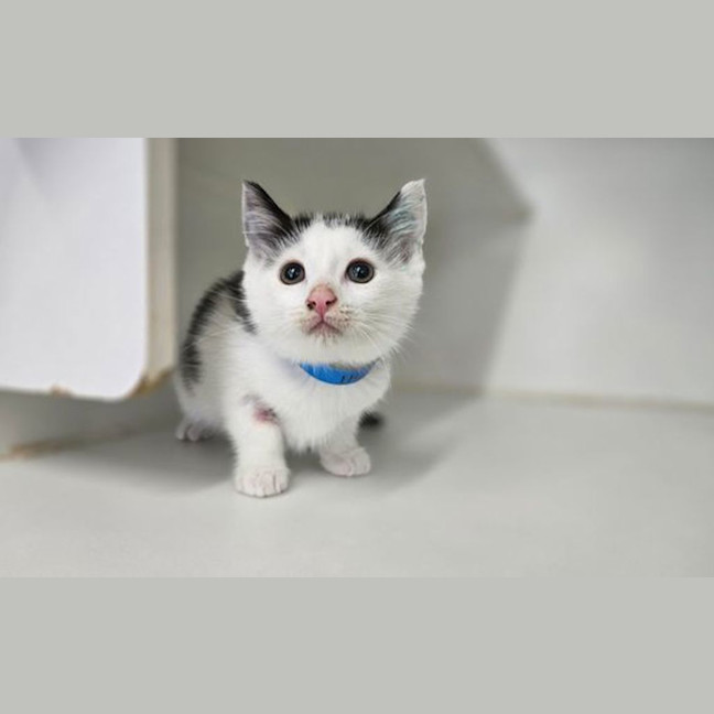 Photo of Spotty