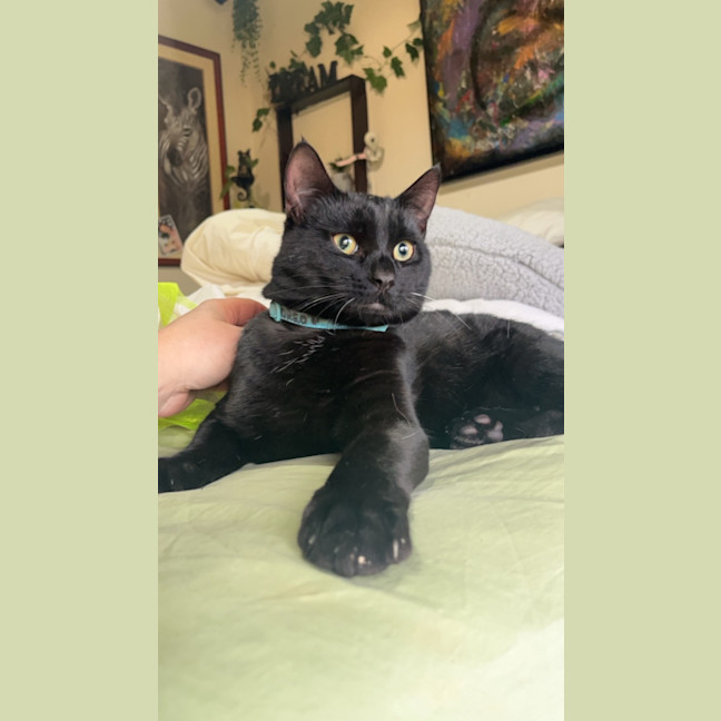 Photo of Prada & Vadar