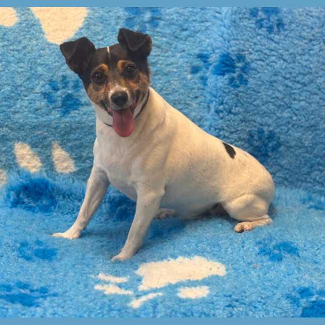 Photo of Cookie And Buster