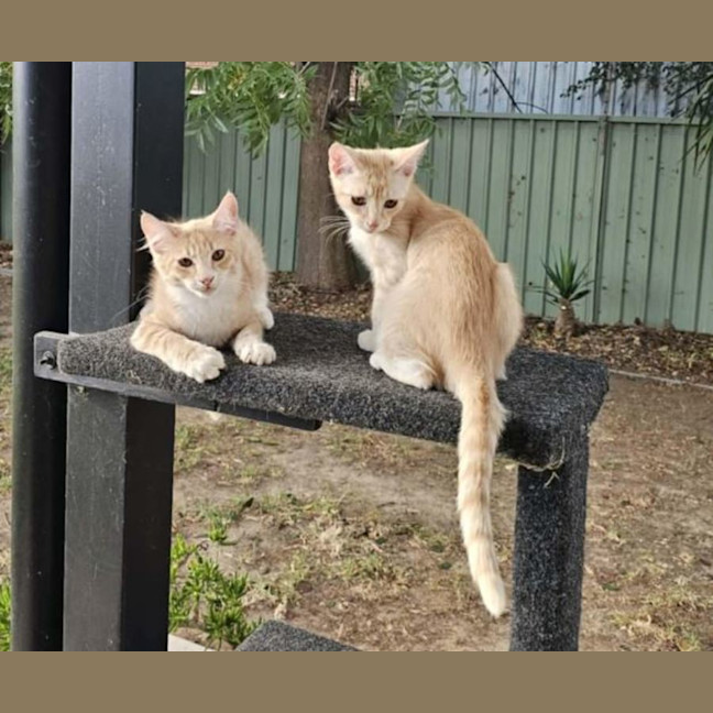 Photo of Betty And Ernie