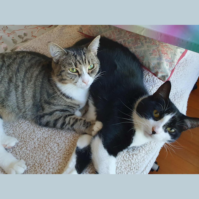 Photo of Miguel / Sarah