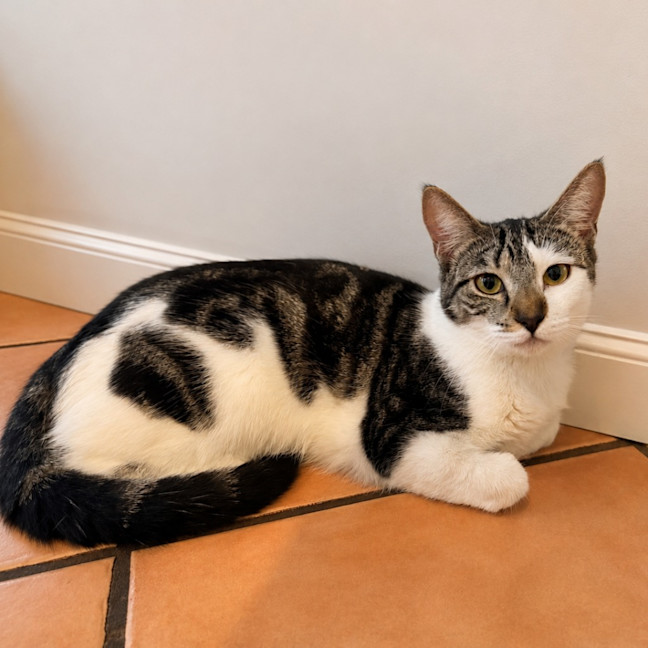Photo of Lulu
