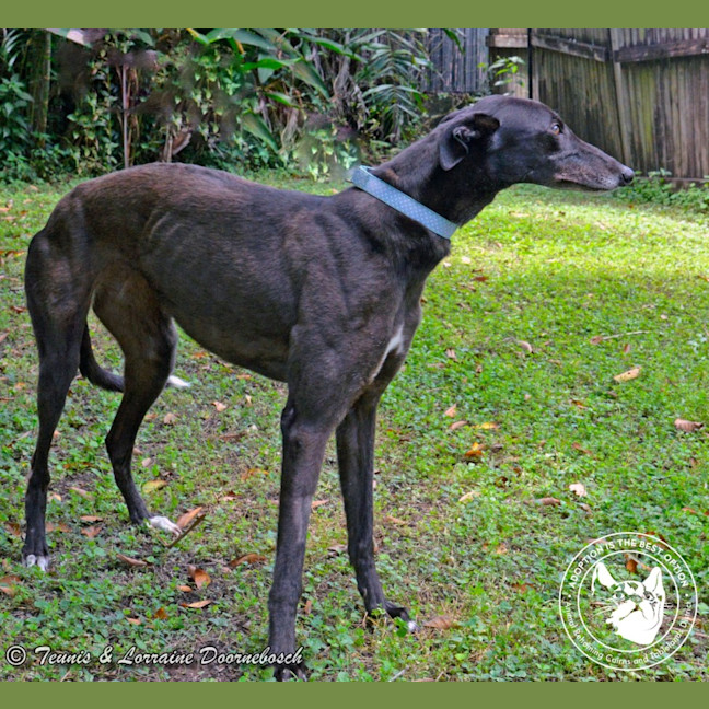 Photo of Conno (Kevin's Girl)