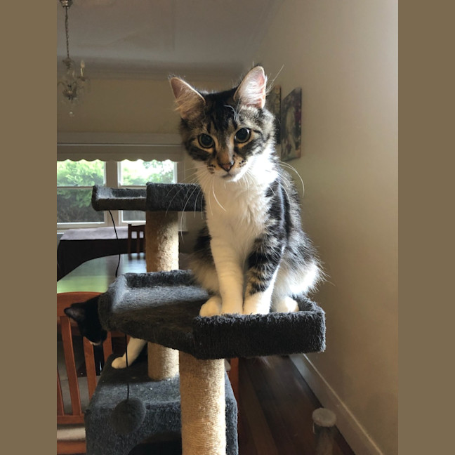 Photo of Truffle