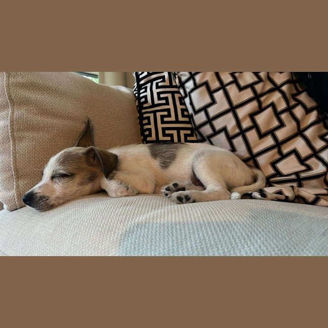 Photo of Marley Muddle