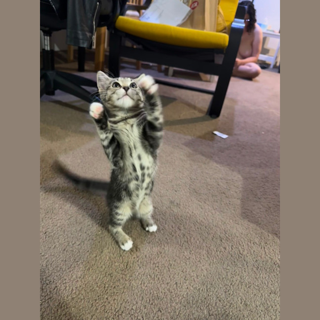 Photo of Hazel