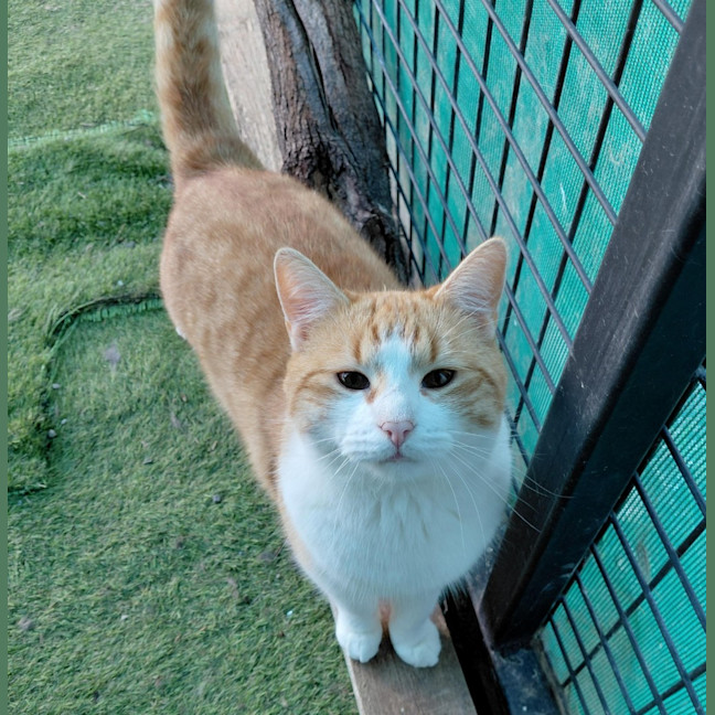 Photo of Jerry