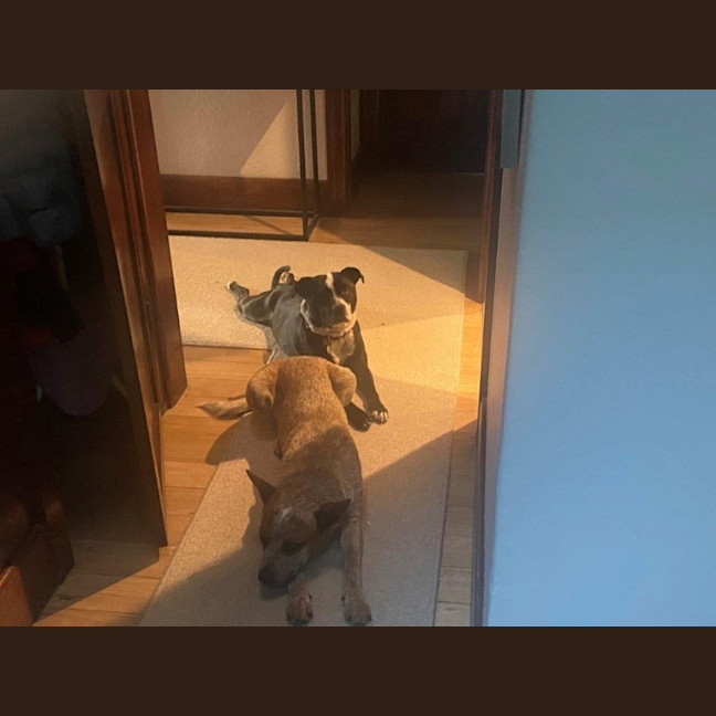 Photo of Nala Jablonksi