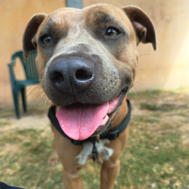 Photo of Turbo