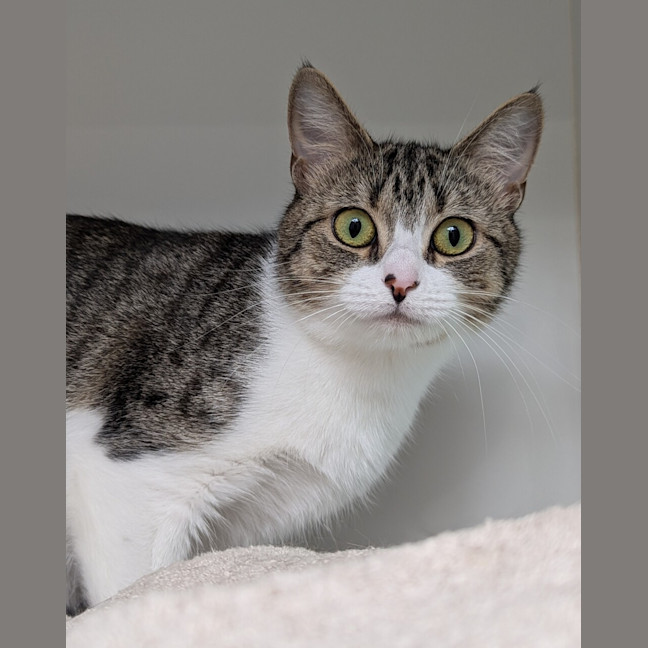 Photo of Annie