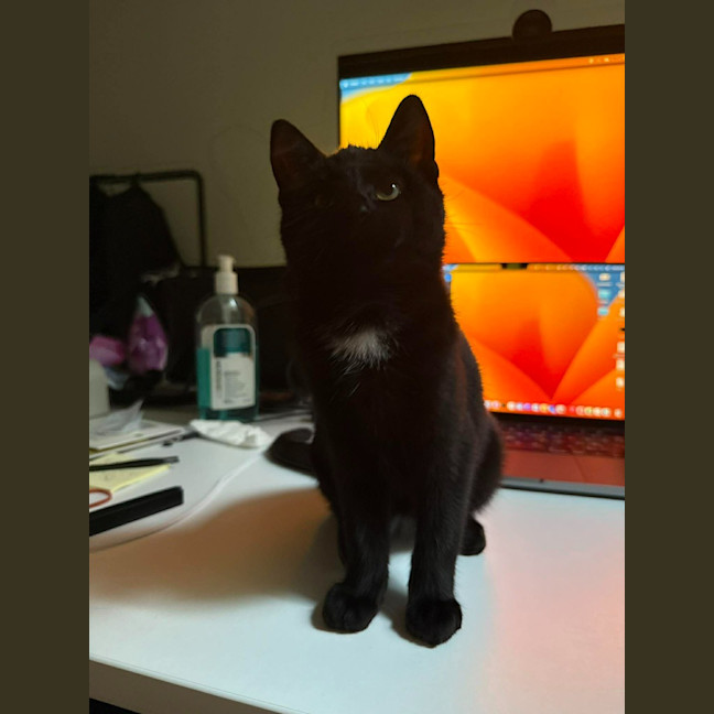 Photo of Poppy