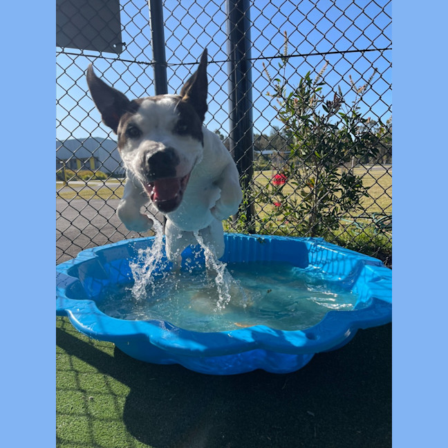 Photo of Iggle Piggle Imp 1690