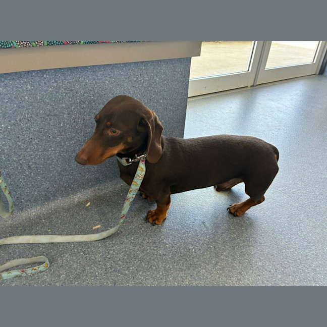 Photo of Max And Teddy