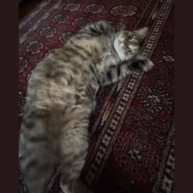 Photo of Angel