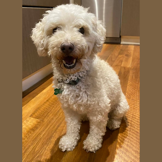 Photo of Billy