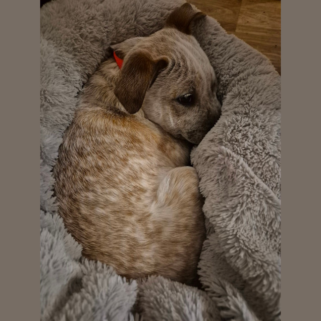 Photo of Helix